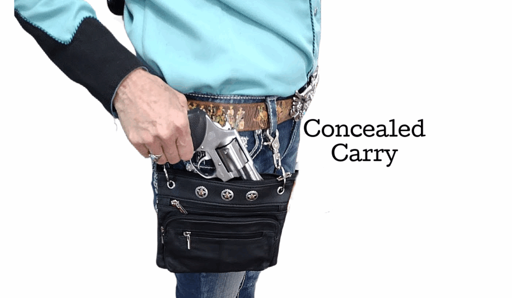 Black conceal carry bag. It snaps onto your belt loops to be safe and secure.